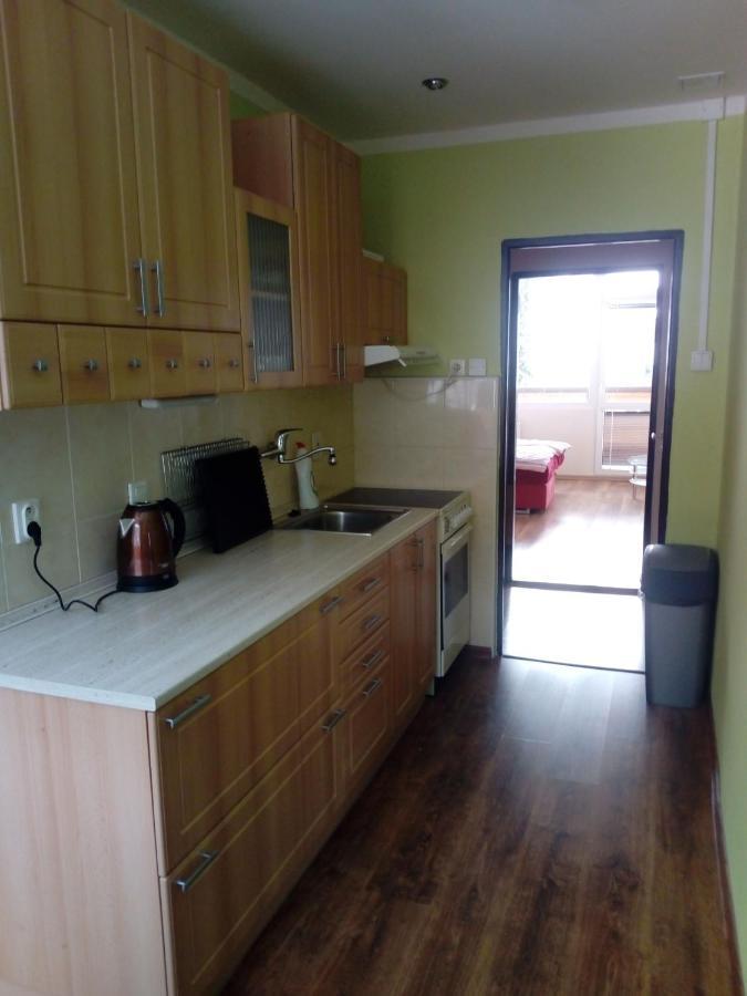Apartman Spicak Jiretin pod Bukovou 外观 照片